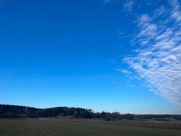 Geprüfter Web-Designer