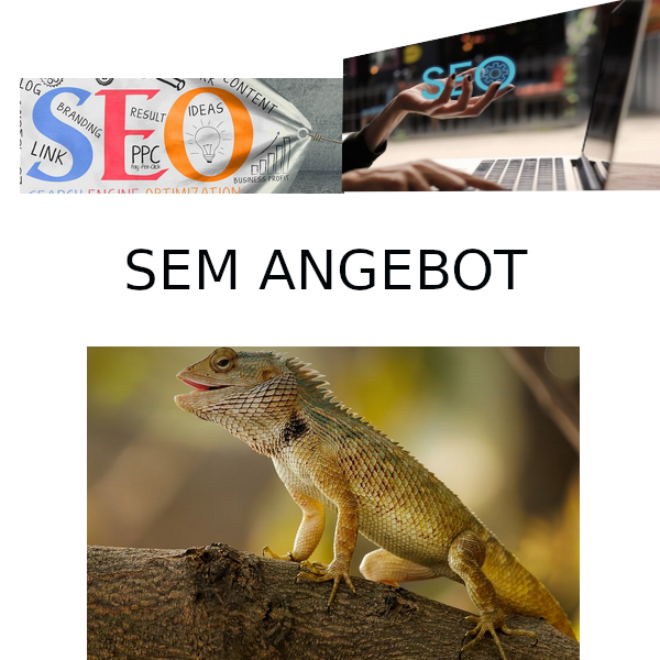 sem